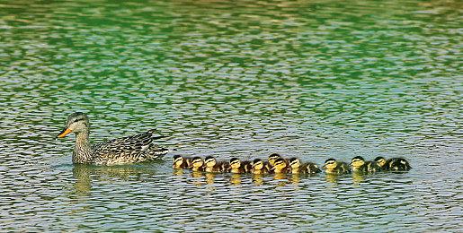 二战第一人称多人在线对战《人间地狱》现已发布更新15 